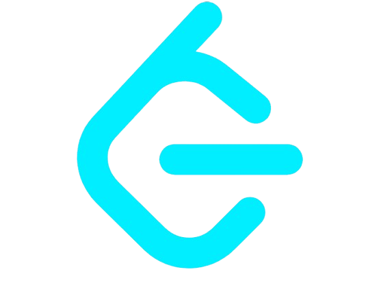 LeetCode Icon